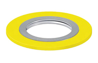 Joint spiralé en acier inoxydable 304 avec garnissage en graphite, revêtement plastique extérieur, avec anneau intérieur et anneau extérieur, conforme à la norme ASME B16.20