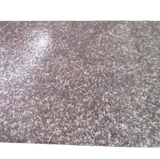 Thiết kế truyền thống tự nhiên g664 đá Granite trắng cho tường gạch lát đá đối phó tấm