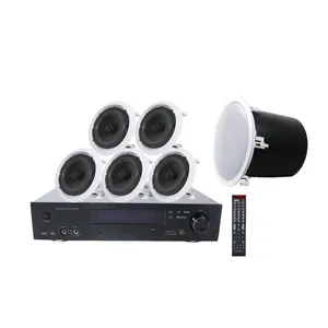 Home Surround Sound System 500W blue tooth Power Amplifier with usb,sd card and remote control,packed with ceiling speakers