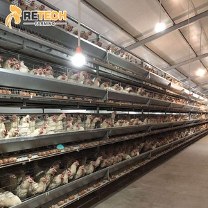 Lưới Hàn Mạ Kẽm Công Nghiệp Quy Mô Lớn 4 Tầng H Loại Chim Gà Lớp Gà Lồng Nuôi Hệ Thống Bán - Product Image 1