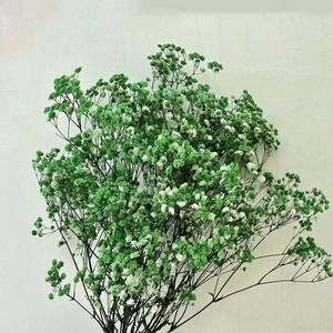 Il fiore più popolare Gypsophila Bouquet naturale conservato bambino alito fiori per il matrimonio/decorazione della casa - Product Image 5
