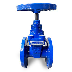 วาล์วประตูเหล็กดัดชนิดยืดหยุ่นพร้อมหน้าแปลนยาง รุ่น BS5163 DIN3202 3352 F4/F5 SABS663 JIS5K 10K OS&Y Nrs Z45X SABS 664 - Product Image 2