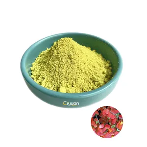 Factory Supplier Wholesale Fisetin Powder 50% 95% 98% Fisetin