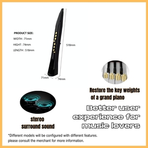 Instrumento <span class=keywords><strong>de</strong></span> <span class=keywords><strong>viento</strong></span> electrónico MIDI-Flauta <span class=keywords><strong>de</strong></span> saxofón <span class=keywords><strong>de</strong></span> aerófono con <span class=keywords><strong>10</strong></span> timbres y LCD USB - Product Image 3