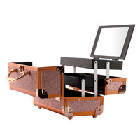 Valise chariot multifonction pour maquillage, valise à cosmétiques, en aluminium, rangement