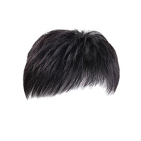 MEILASI Prothèse capillaire droite pour homme, coupe rasante, couvrant les cheveux clairsemés et les racines grises, densité 100%, base en dentelle, naturelle et respirante