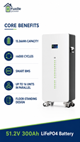 Batterie de stockage d'énergie LiFePO4 mobile sur pied 51.2V 300Ah 15.36kWh avec protection BMS intelligente et longue durée de vie pour l'énergie solaire domestique
