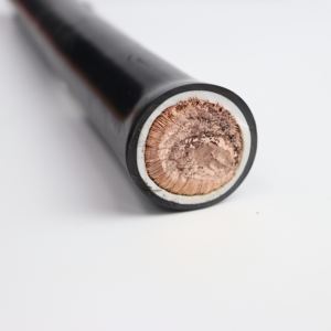 UL10684 400毫米实心铜双层聚氯乙烯非整体式单芯1000伏额定电缆 - Product Image 2