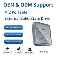 SSD Eksternal Portabel M.2 Magnetik OEM/ODM Logo Kustom Baru 256GB 512GB 1TB 2TB untuk Server, Berbahan Aluminium
