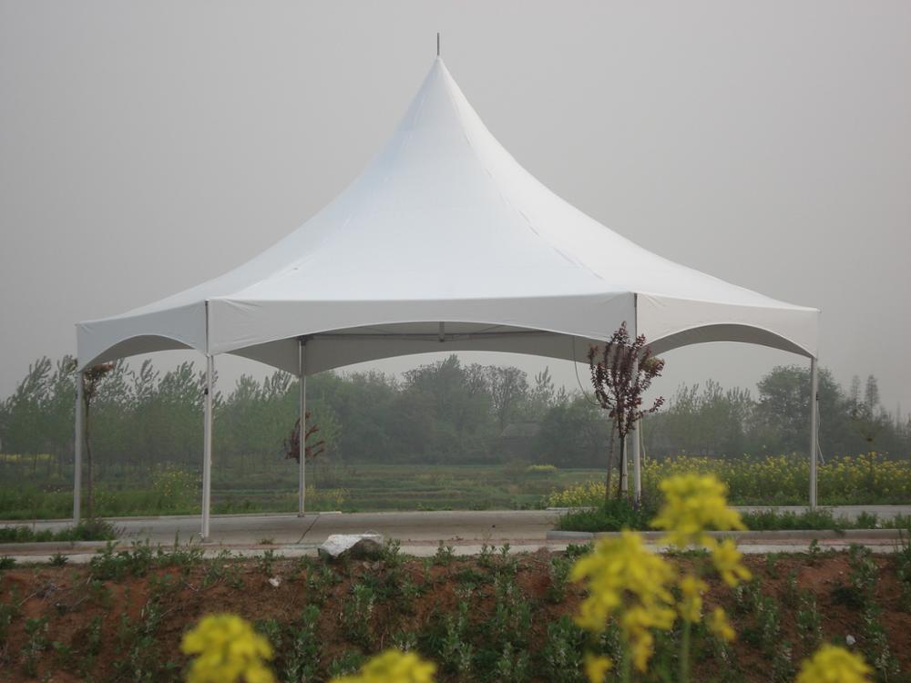30*25 Promotion Événement PVC Tente Chapiteau Tente Auvent Extérieur