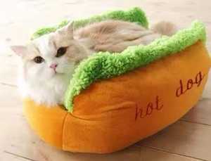 Wuxi Danyi productos para mascotas señor mime de peluche de juguete camas para perros perro caliente perro camas - Product Image 2