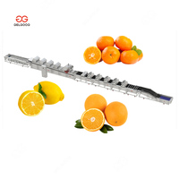 Zhengzhou Fruit- en Groente Opslag Zoete Aardappel Optische Sorteer- en Verpakkingsmachine Olijven Sorteren op Kleur Knoflook