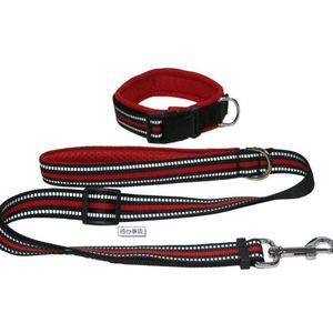 Venta caliente de fábrica Accesorios para mascotas Venta al por mayor China <span class=keywords><strong>Collar</strong></span> de perro y correa - Product Image 4
