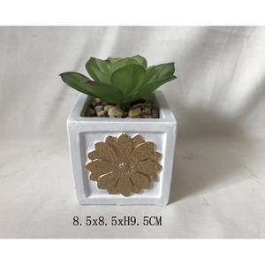 พืชอวบน้ำประดิษฐ์,ไม้กระถางบอนไซ - Product Image 3
