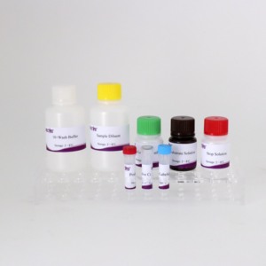 Wholesale Brucella bp26 Protein ELISA Antibody Detection <strong>Kit</strong> for Veterinary Diagnosis, High Sensitivity &amp; Specificity - Product Image 4