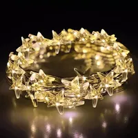 Guirlande lumineuse LED 50 LED 5m pour intérieur, alimentée par piles, fil de cuivre, décoration de Noël, mini étoiles, blanc chaud, avec bouton