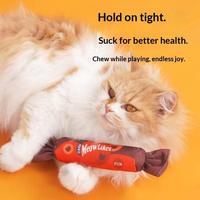 Jouet pour chat auto-entretenant de la série Candy : Oreiller en papier froissé à l'herbe à chat pour chatons et chats d'intérieur, jouet à mâcher anti-ennui, OEM
