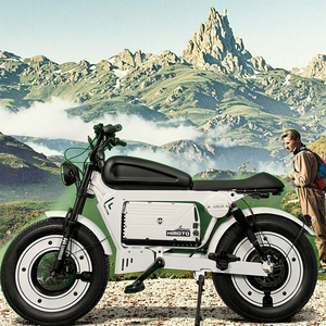 1500W thành phố kiểu dáng đẹp thiết kế e-xe đạp người đàn ông hợp kim nhôm khung <span class=keywords><strong>LED</strong></span> hiển thị đêm đèn 48V phía sau trung tâm động cơ tích hợp pin 60Ah - Product Image 1