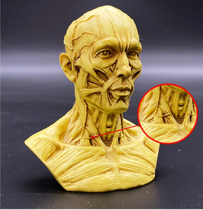 Prodotto in resina teschi umani decorazione per la decorazione della tavola di halloween - Product Image 4