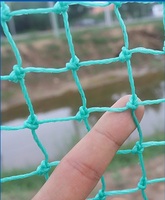 Filet à mailles pour oiseaux de haute qualité HDPE Raschel sans nœuds filet anti-oiseaux Monofilament Agriculture PE filet à oiseaux