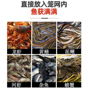 Appât granulaire King Shrimp King pour crevettes, anguilles, crabes, loches, utilisation en piège de pêche - Product Image 4