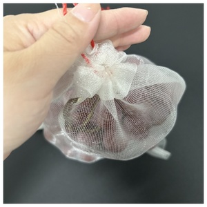 Nho Và Trái Cây Chống Côn Trùng Lưới Bảo Vệ Bìa PE Chất Liệu Nhựa Và Túi Lưới Cho Trái Cây Bảo Vệ - Product Image 4
