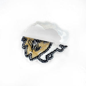 Ensemble de patchs brodés en chenille d'animaux mignons, à repasser ou à coudre, pour enfants, dessin animé, broderie de serviette - Product Image 5