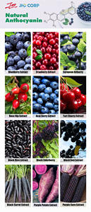 Кошерный халяльный органический натуральный экстракт черники, порошок, богатый антоцианом проантоцианом - Product Image 2