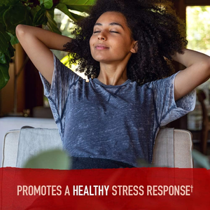 Solilan Tùy Chỉnh Hương Vị Hữu Cơ Lên Men Gừng Chiết Xuất Gốc <span class=keywords><strong>Ashwagandha</strong></span> Probiotic Tiêu Hóa Căng Thẳng Tâm Trạng Năng Lượng Bổ Sung - Product Image 4