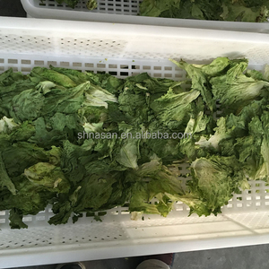 Macchina asciugatrice a microonde in pelle | Restringimento uniforme | CE approvato | <span class=keywords><strong>Dimensioni</strong></span> personalizzate - Product Image 3