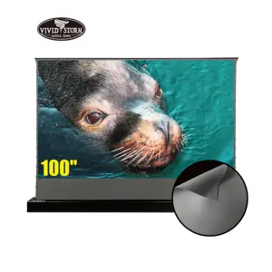 VIVIDSTORM vividstorm 100 inches S electric Floor Screen ALR obsidian 08 projector film projection screen 4k fold screen