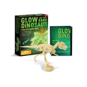 Penjualan Terbaik mainan 3 jenis yang berbeda dari arkeologi fosil Dig kit dinosaurus kecil kerangka mainan tumbuh dalam gelap untuk anak-anak