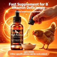 Gouttes vitaminées pour la performance des pigeons de course, Supplément de conditionnement pour coqs de combat, Soutien à la santé des volailles et des perroquets, Bouteille ambrée OEM