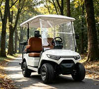 Buggy utilitaire électrique à basse vitesse A817.2+2, pour les plages côtières