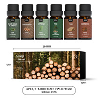 Coffret Cadeau d'Huiles Essentielles 100% Pures 10ml*6 Parfums Inspirés du Bois pour la Fabrication de Bougies et les Diffuseurs de Douche OEM ODM