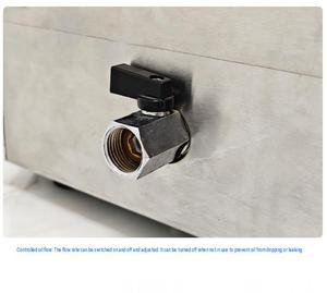 Macchina Professionale per Kebab e Girarrosto in Acciaio Inox, Alimentazione a Gas o Elettrica per Hotel, Ristoranti e Catering - Product Image 3