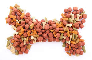 Machine de transformation d'aliments pour animaux de compagnie, extrudeuse de granulés d'aliments pour chiens, ligne de production avec moteur, pompe PLC 380V - Product Image 4