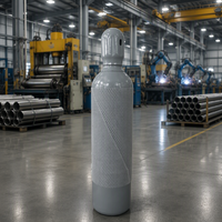 Bouteilles de gaz en acier de 20 L conformes à la norme EN ISO9809 (OD=203mm)