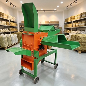 Machine <span class=keywords><strong>de</strong></span> traitement des aliments pour animaux en acier inoxydable, hachoir à légumes et à herbe avec moteur - Product Image 1
