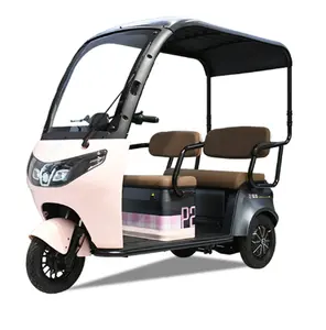 High Quality Comfortable 3 Wheel Motorized Taxi Rickshaw Electric Passenger Tricycle With Roof