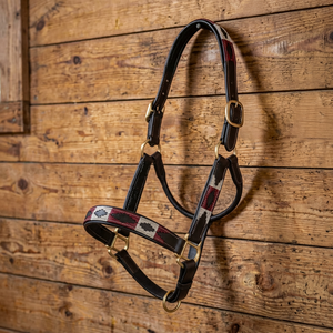 Cabestro Duradero para Caballos Polo, Venta al por Mayor Directa de Fábrica de Divine International - Product Image 1