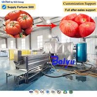 Baiyu commerciële stoomschilmachine voor tomatenverwerkingsbedrijven met continue automatische bediening