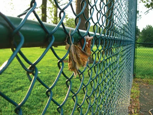 Poteau de clôture en treillis métallique galvanisé et recouvert de PVC, hauteur 6 pieds et 1,5 m, écologique - Product Image 4