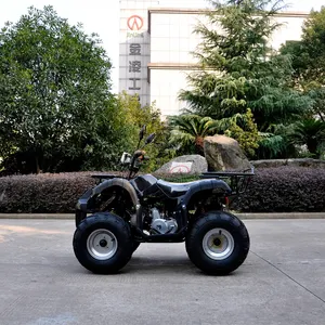 ถังเดี่ยวไฟฟ้า EPA 110cc/125cc Cuatrimoto,อัตโนมัติ4จังหวะ Quad Atvs 4X4เด็ก Atv