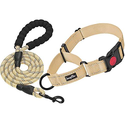 Beige, Martingale Collar+Leash