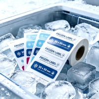 Étiquette adhésive amovible sur mesure en rouleau pour emballage de viande congelée, autocollant de date de congélation
