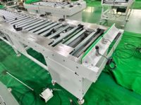Convoyeur à rouleaux motorisé Bifa à double rangée, entraîné par chaîne, pour ligne de production de pneus