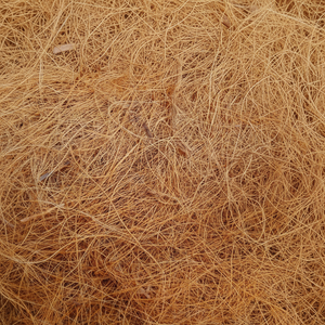 BALLES DE FIBRES DE COCO / FIBRES DE COQUILLE DE COCO PRIX BAS ORIGINE VIETNAM - Product Image 1