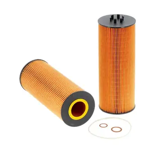 Rsdt Supply High Quality Oil Filter Supplier P550453 A5411800209 E500HD129 E500HD37