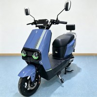 Vente en gros d'usine OEM ODM Moto électrique 1000W E-Moto 60V Haute Vitesse Moto Électrique E-Scooter et Moto